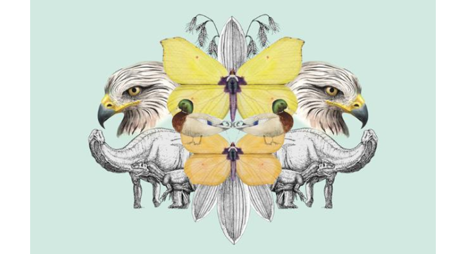 Talleres de ilustración científica en familia (+8) 1