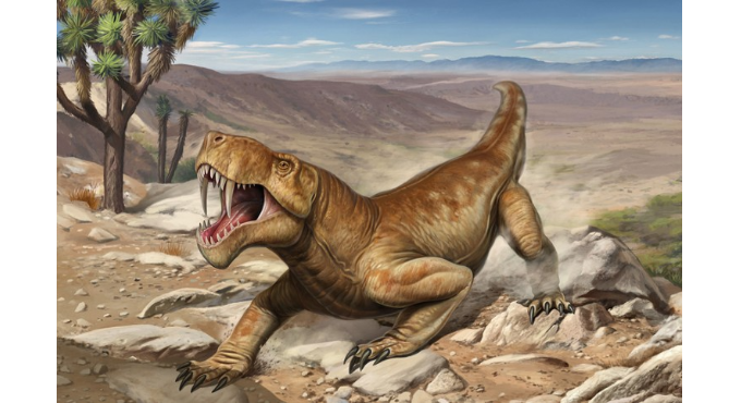 Taller d’il·lustració científica: Dinosaures carnívors de la Patagònia 1