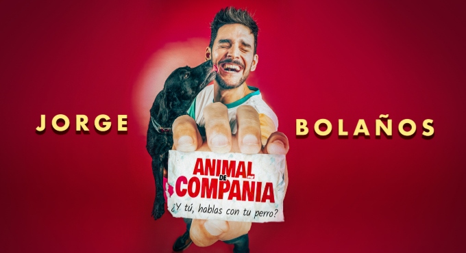 Animal de Compañía