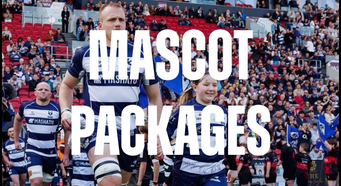 Bears Mascot Packages