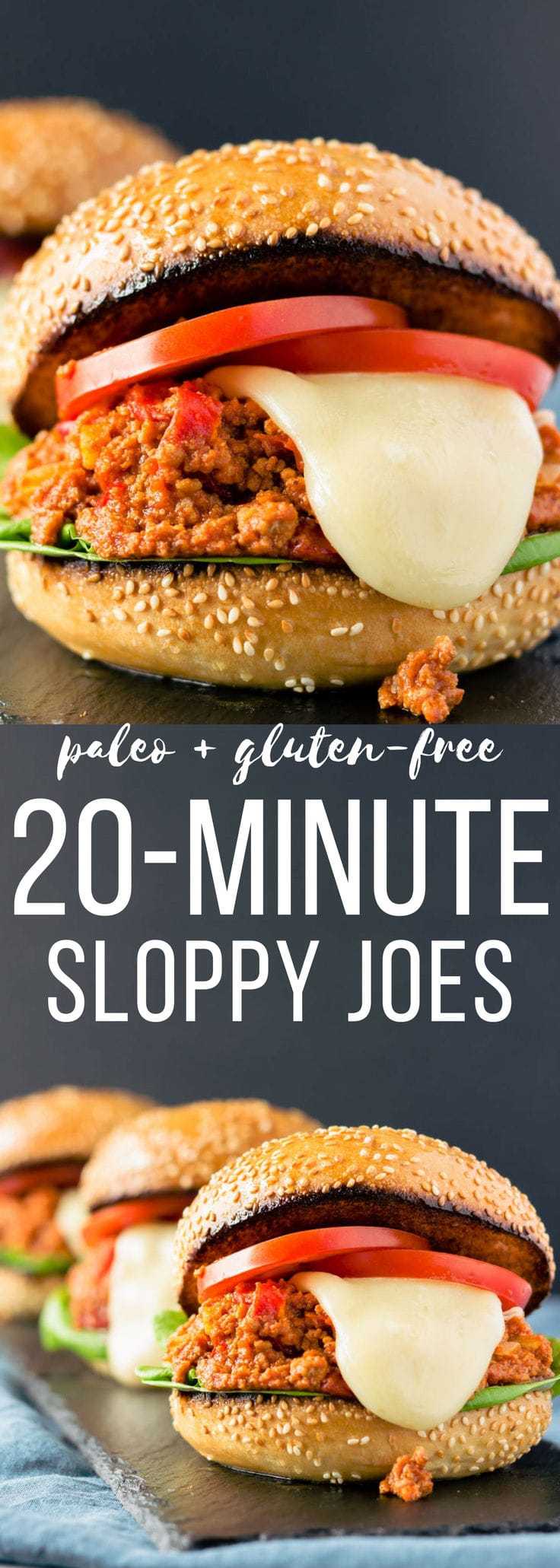 Paleo-Sloppy-Joes-Long-Pin-2 - One Clever Chef
