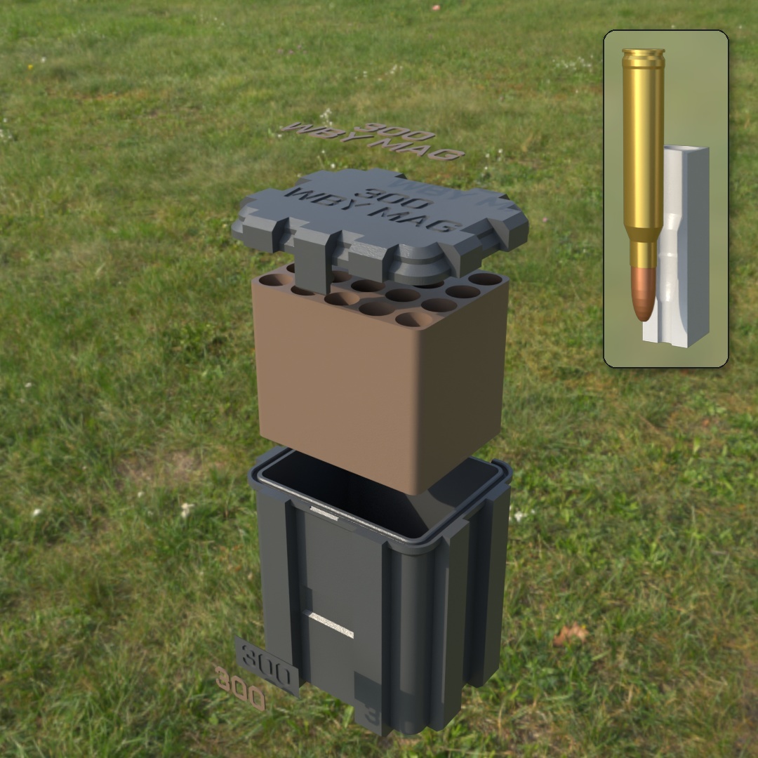📦 ABOX AMMO BOX 300 WBY MAG AMMUNITION STORAGE 20/25/50/100 ROUNDS ...