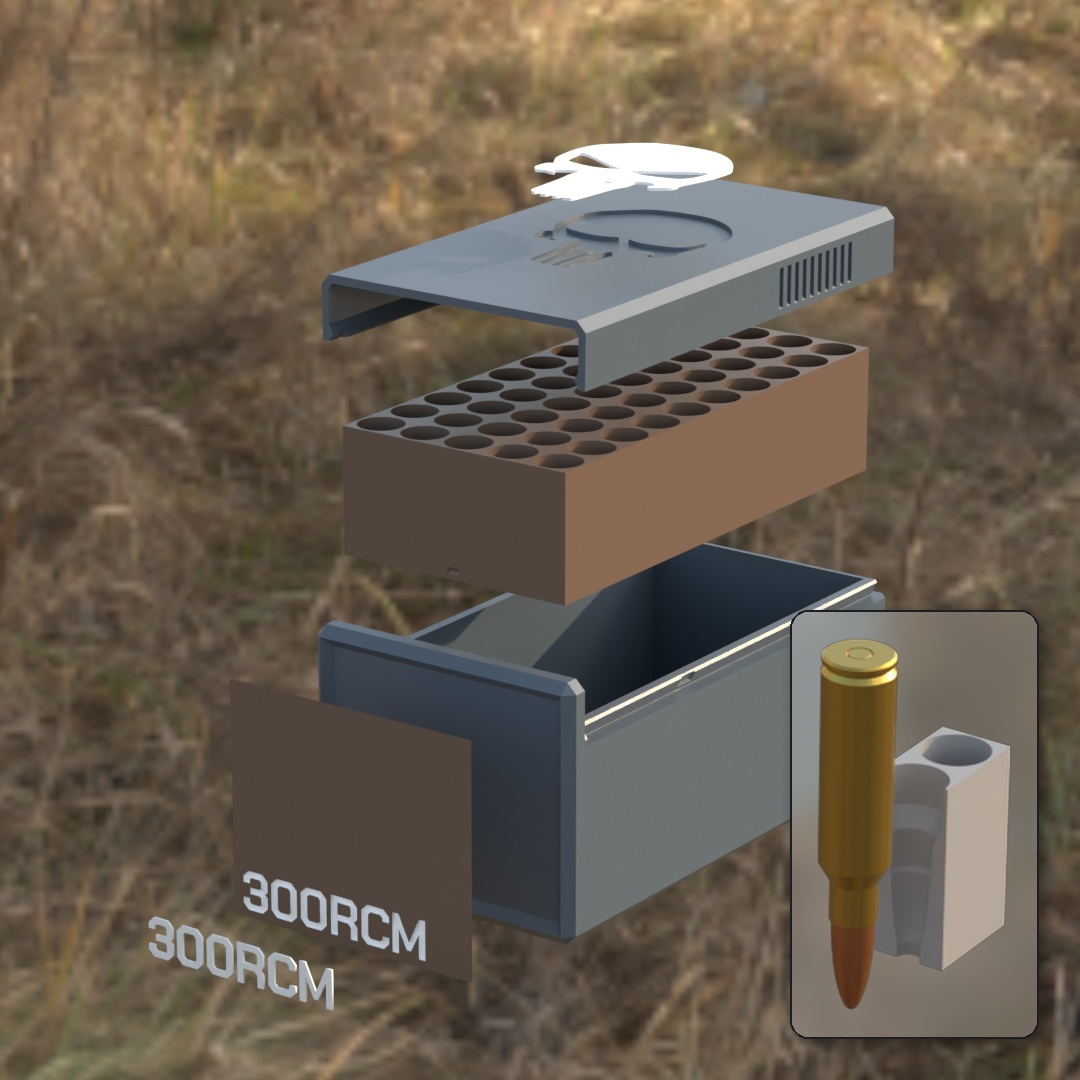 .300 RCM BBOX
