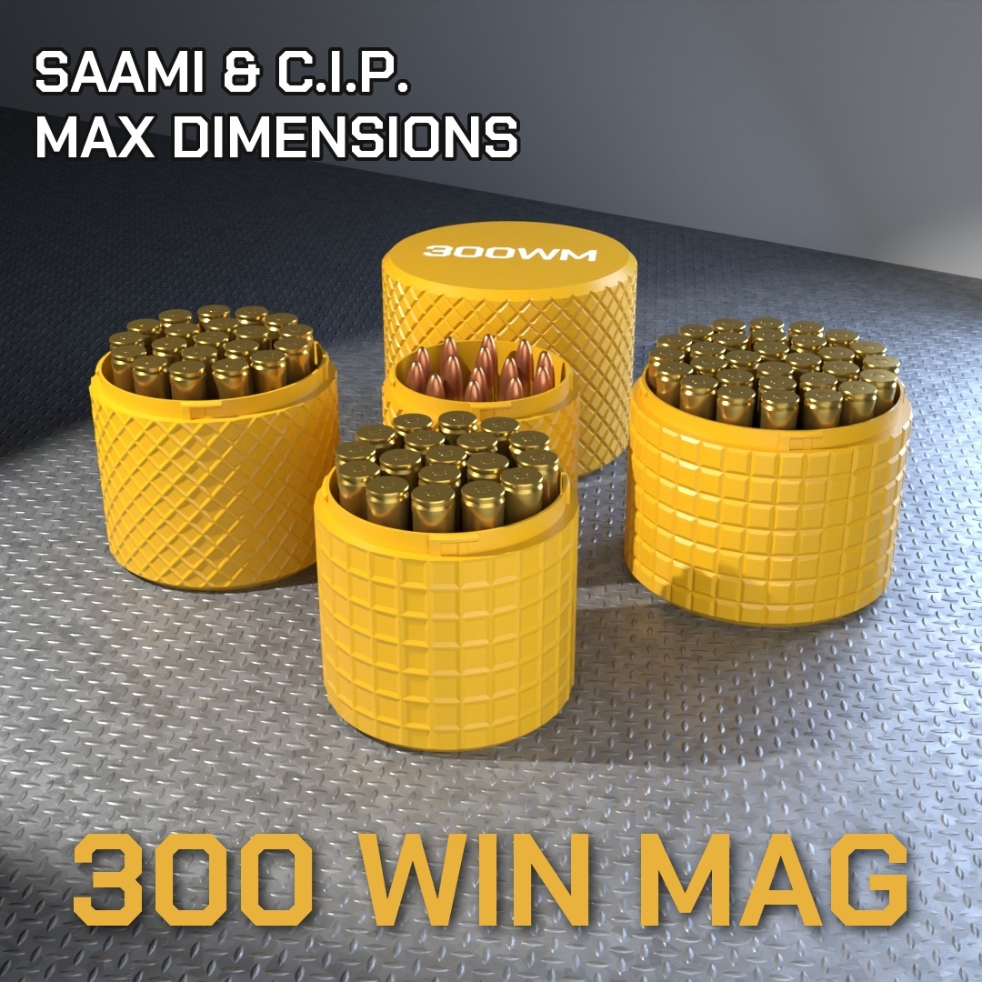 300 WIN MAG CBOX