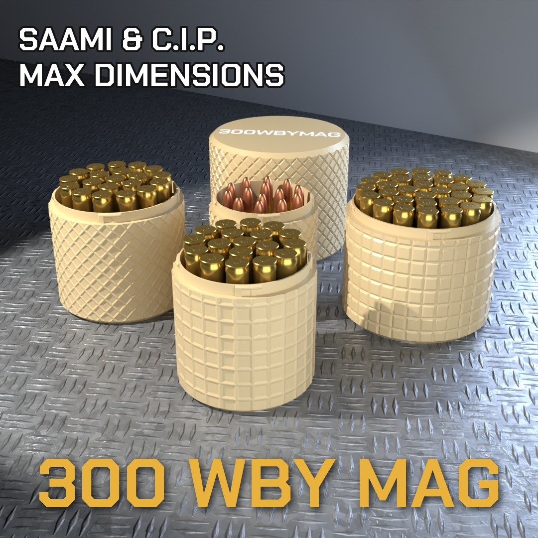 300 WBY MAG CBOX