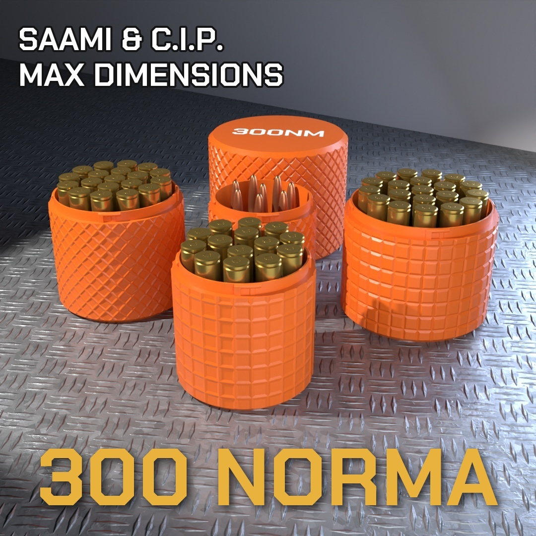 300 NORMA MAG CBOX