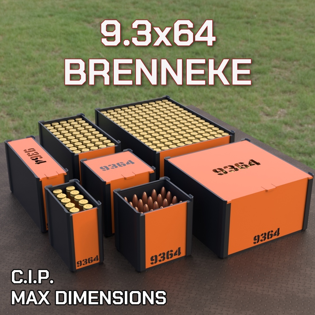 9.3x64mm Brenneke DBOX