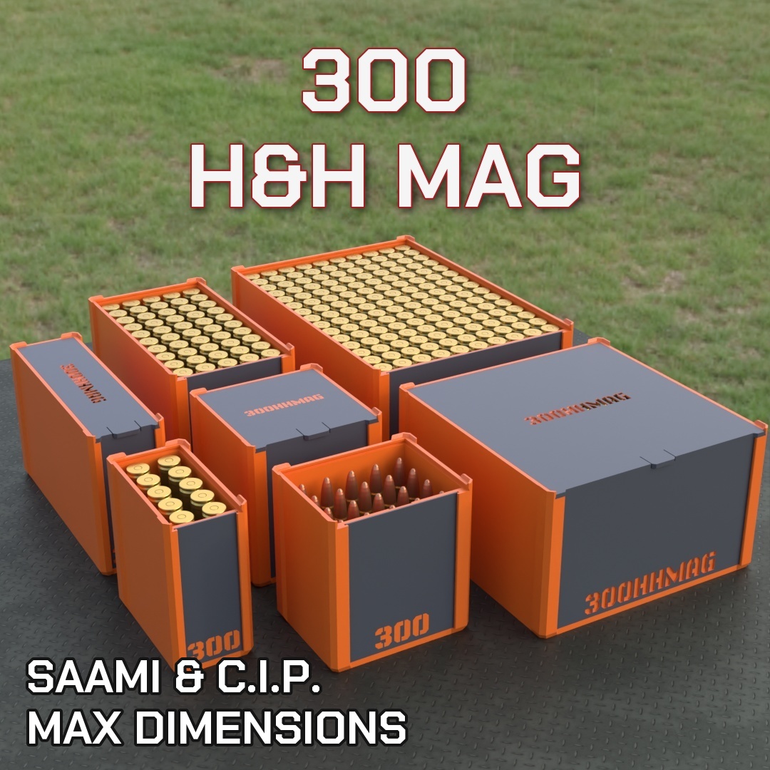 .300 H & H Mag. DBOX