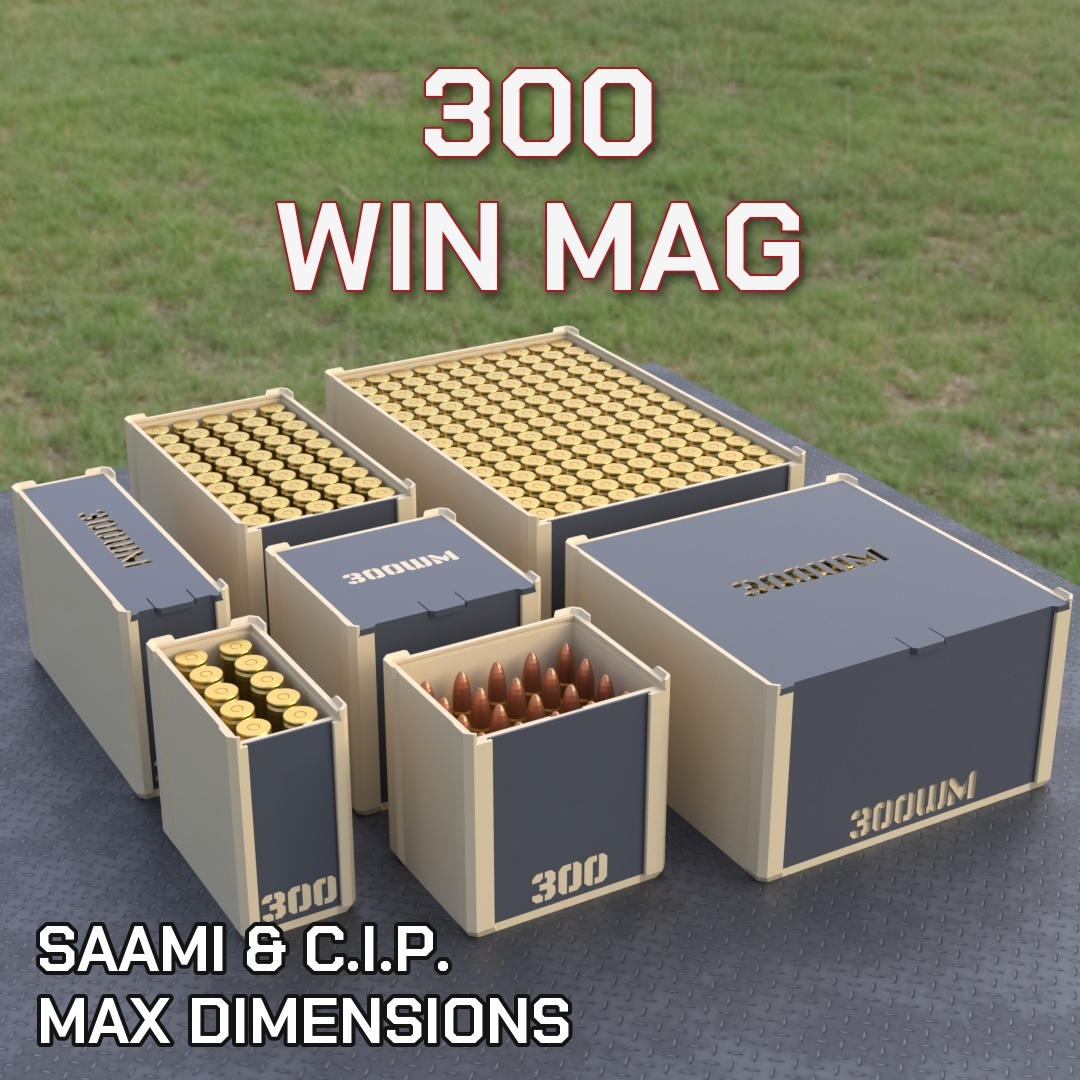 300 WIN MAG DBOX
