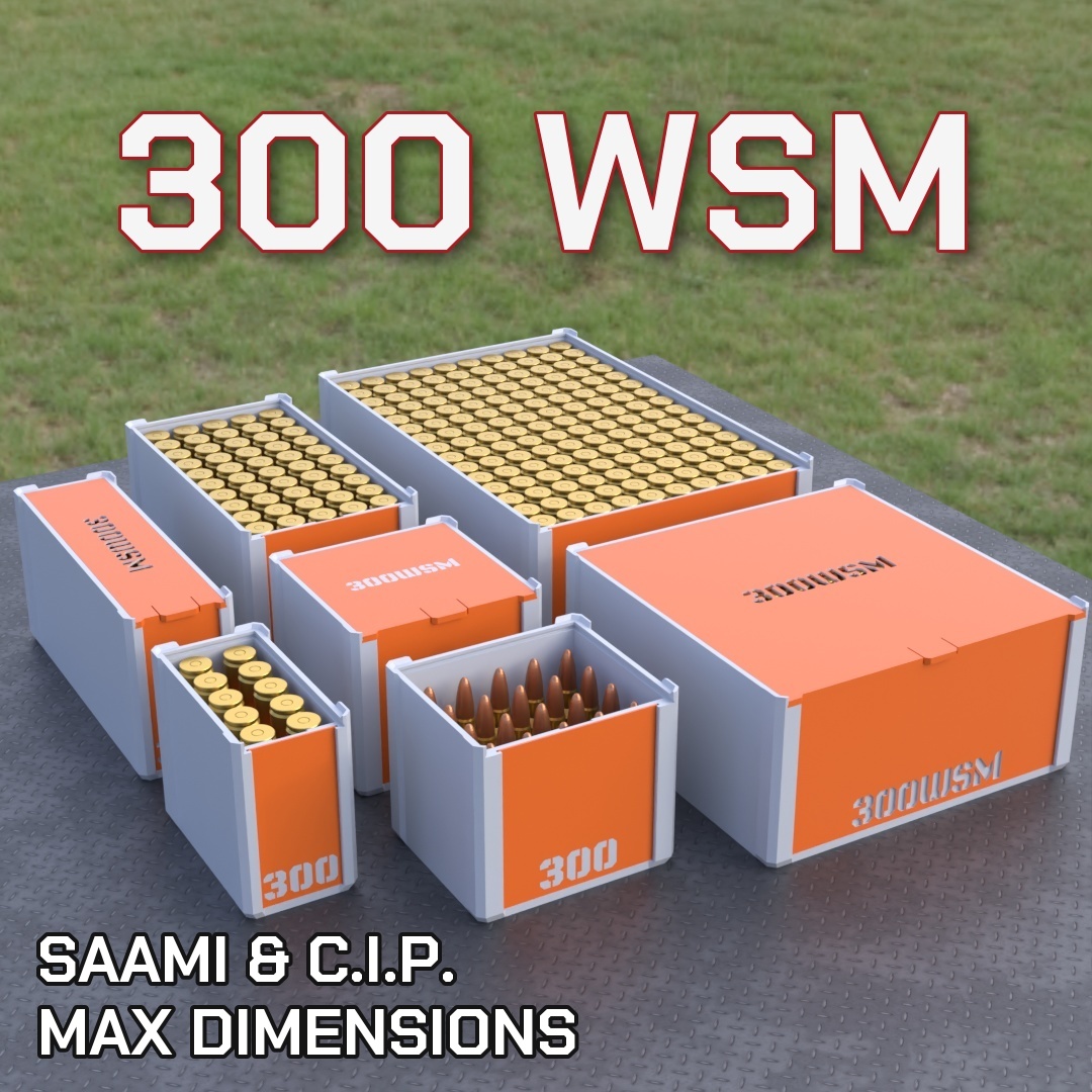 300 WSM DBOX