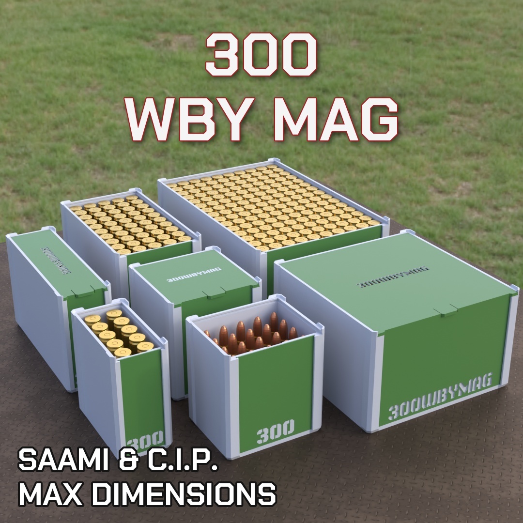 300 WBY MAG DBOX