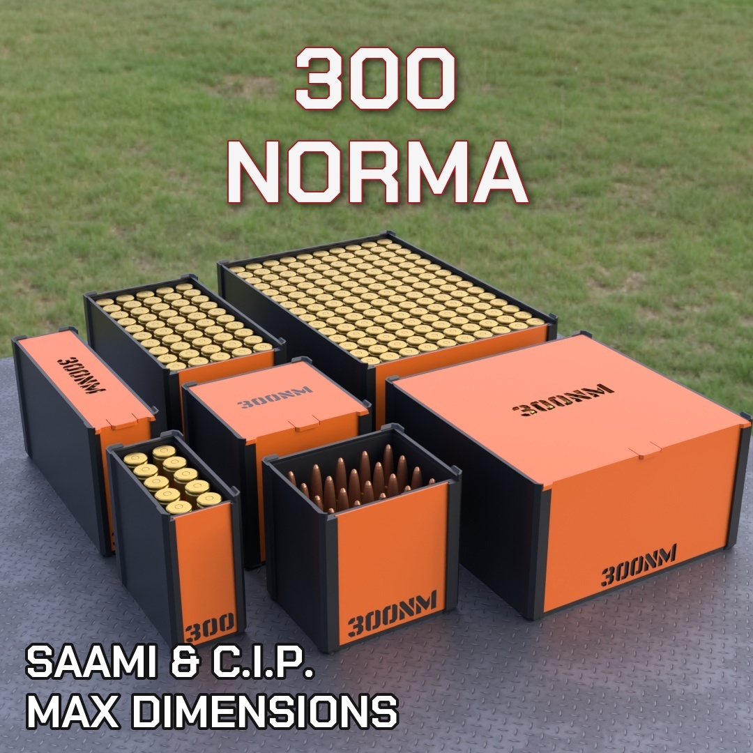 300 NORMA MAG DBOX