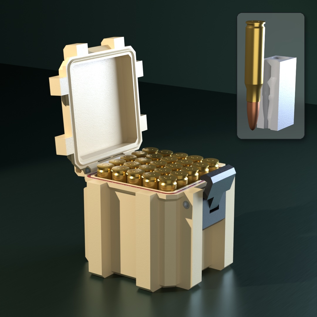 308 WIN SBOX