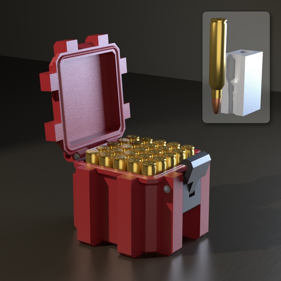 204 ruger SBOX