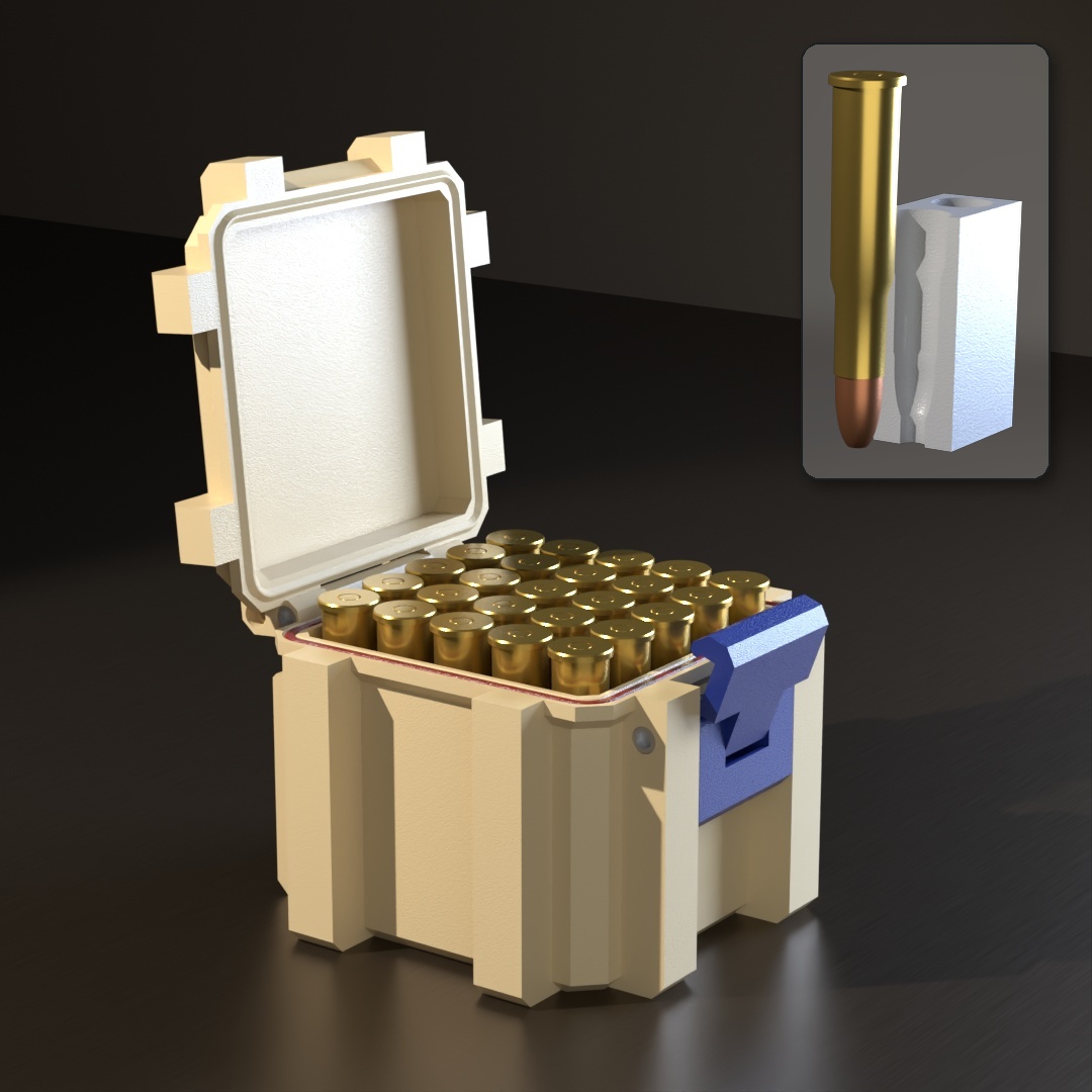 .303 Savage SBOX