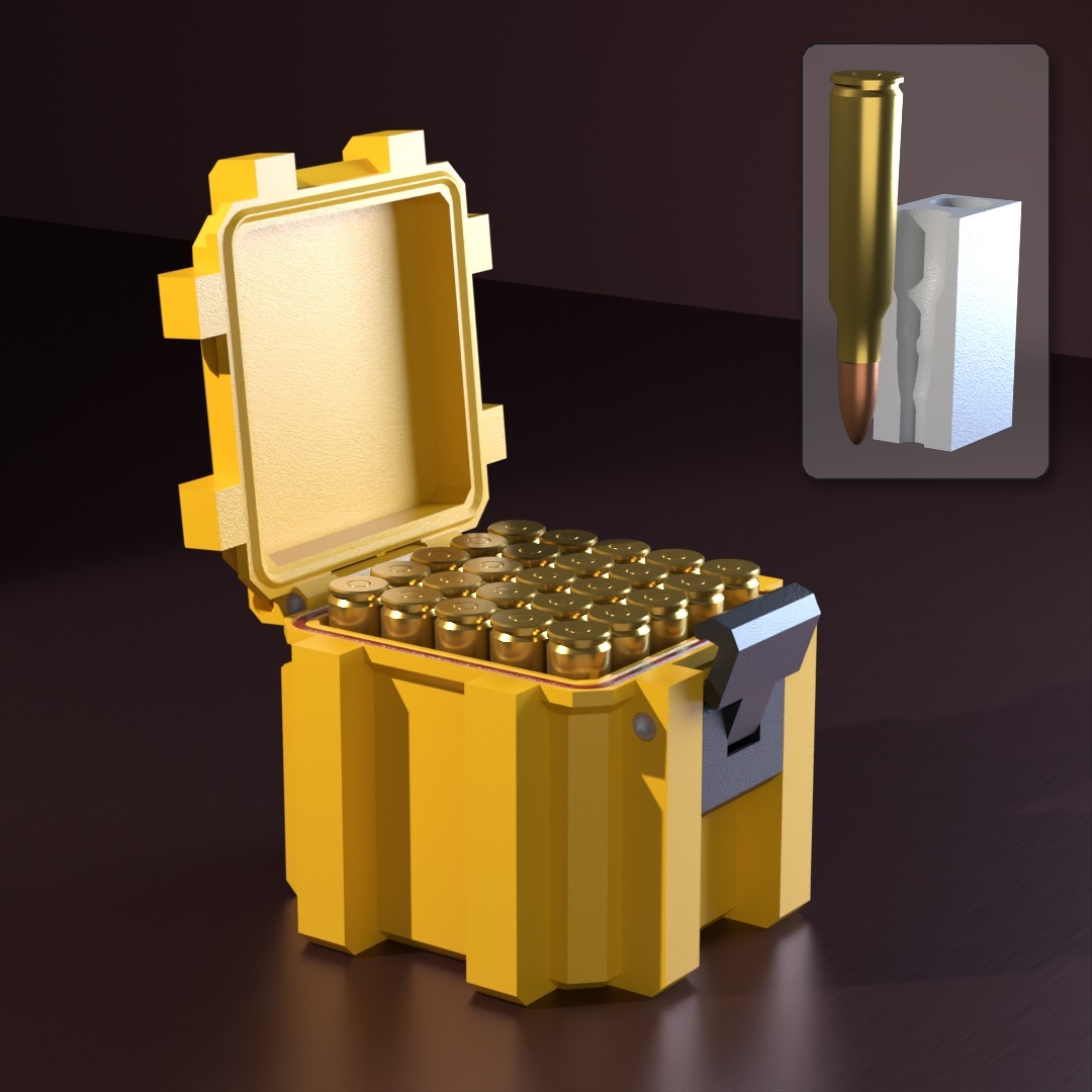 250 Savage SBOX