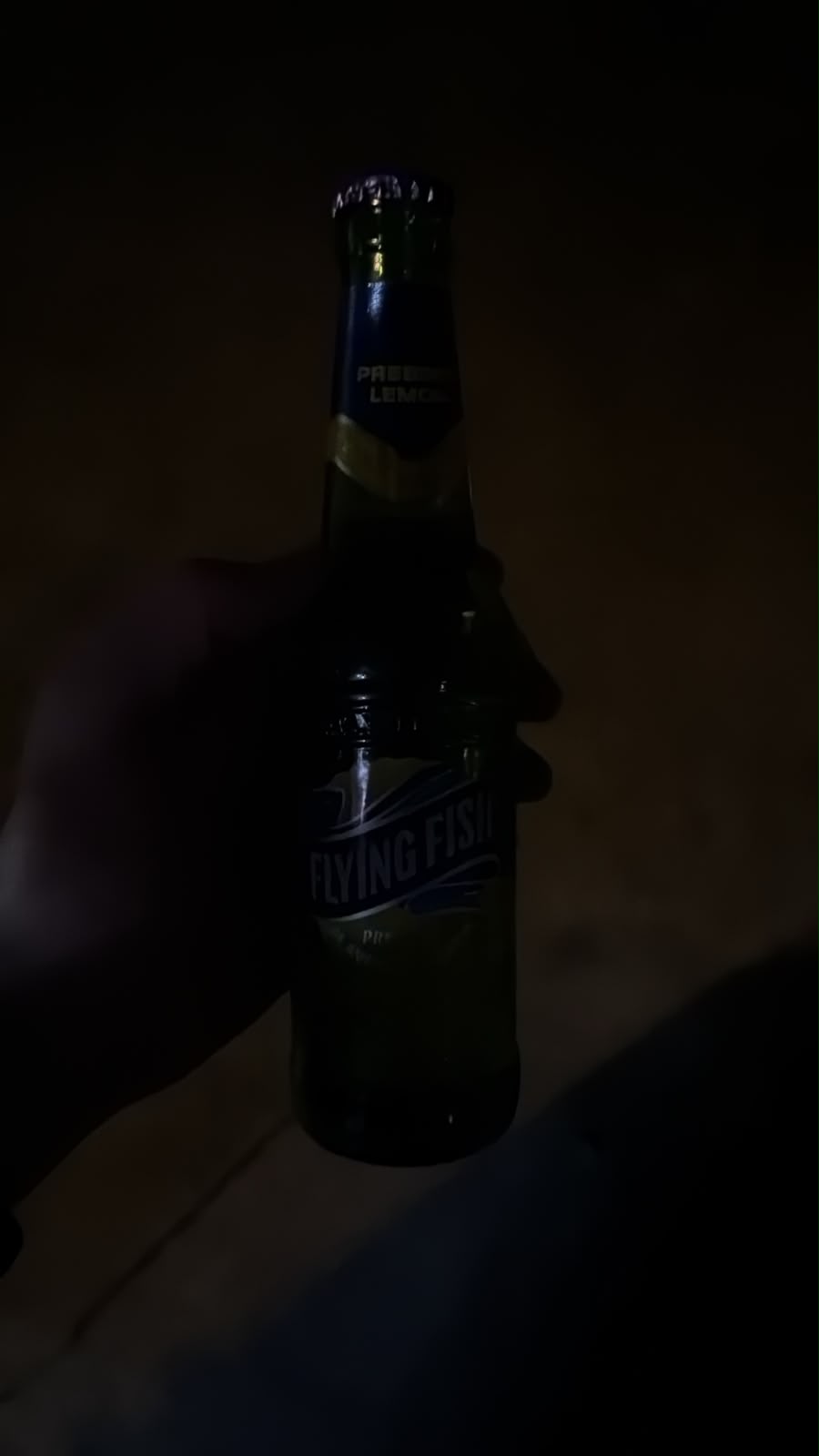 Beer logged by GrandSourTripel