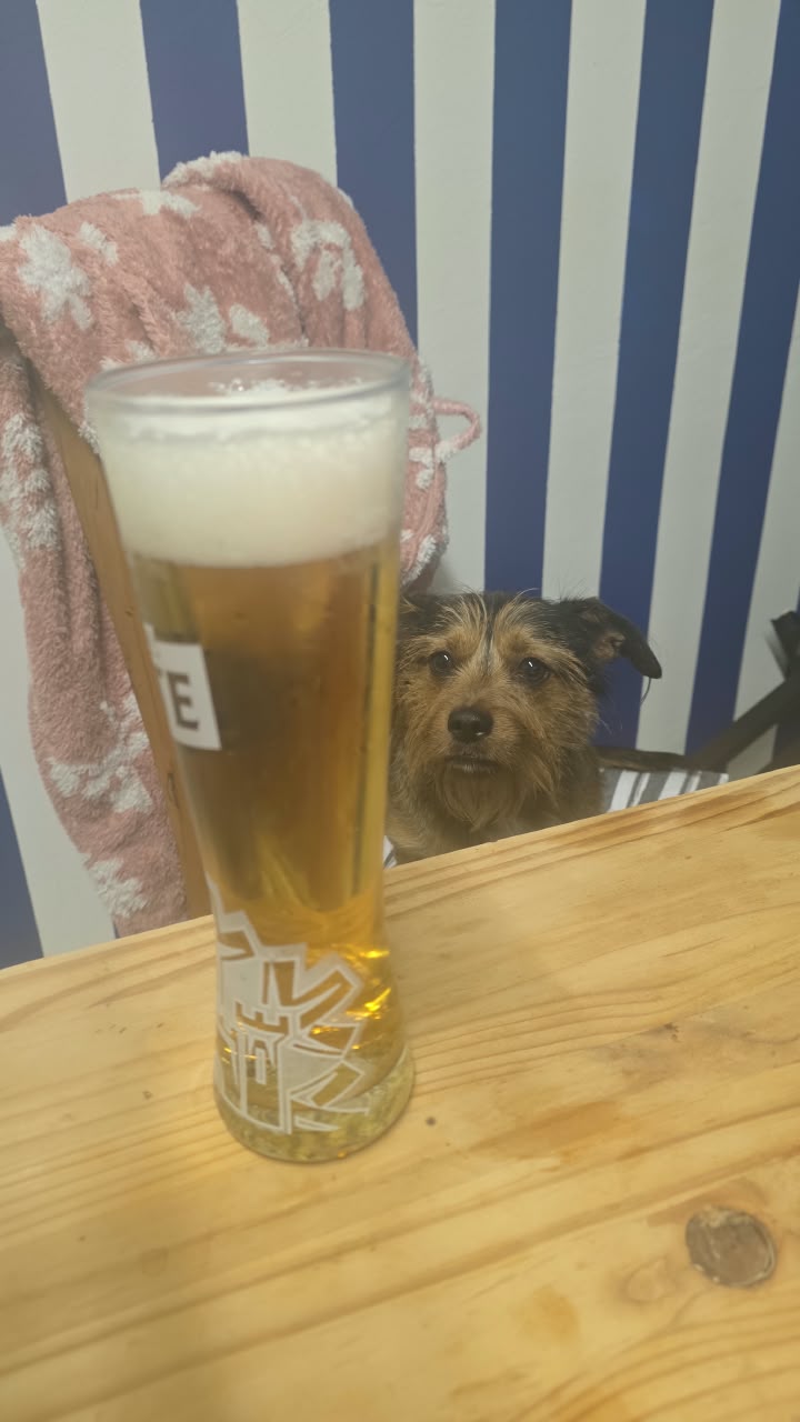 Beer logged by EternalToastyTripel