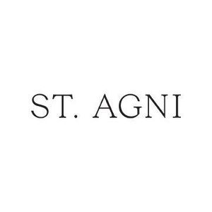 ST AGNI logo