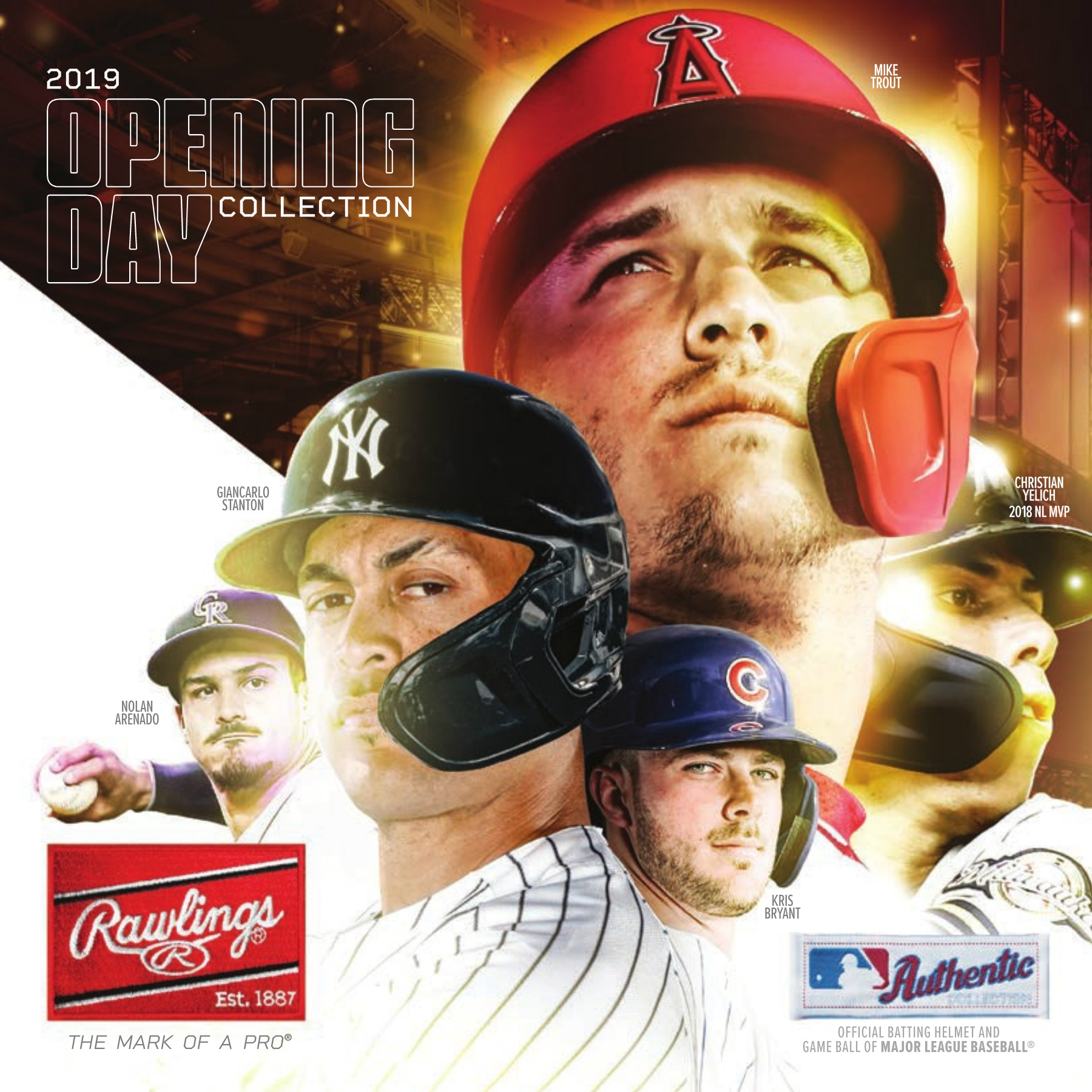 rawlings catalog