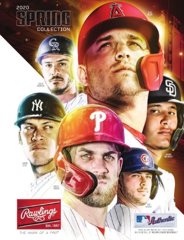 rawlings catalog