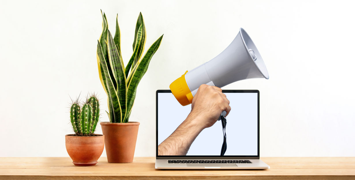 ¿Cómo aumentar el tráfico en tu sucursal online?