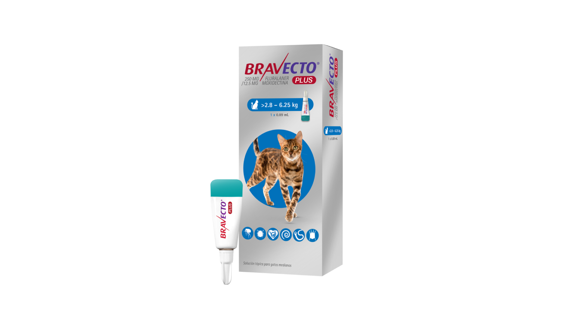 BRAVECTO PLUS GATO  (2.8 KG - 6.25KG)   