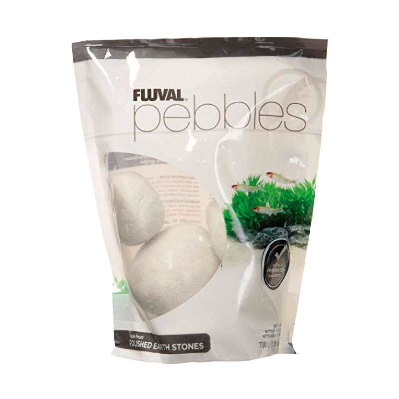 PIEDRAS DE MARFIL PULIDAS