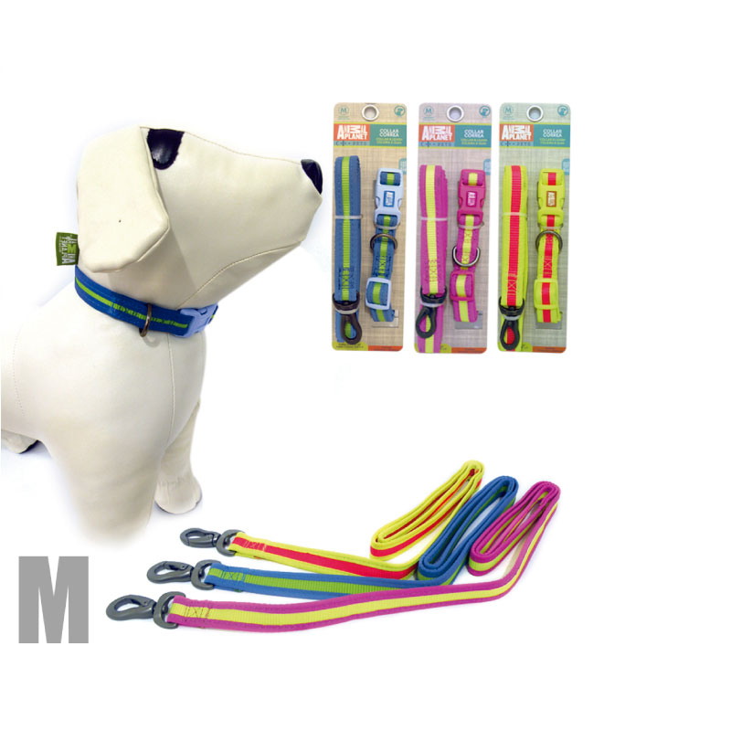 COLLAR + CORREA PARA MASCOTAS