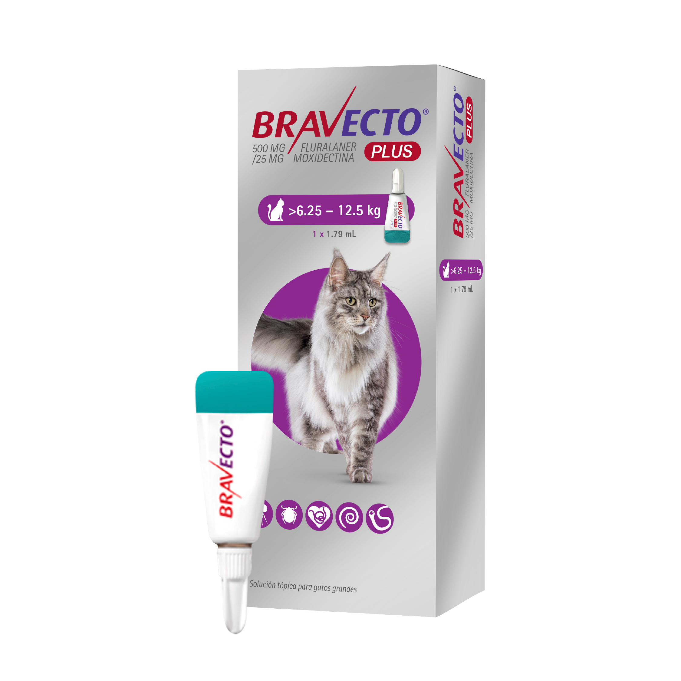 BRAVECTO PLUS GATO (6.25KG - 12.5KG)