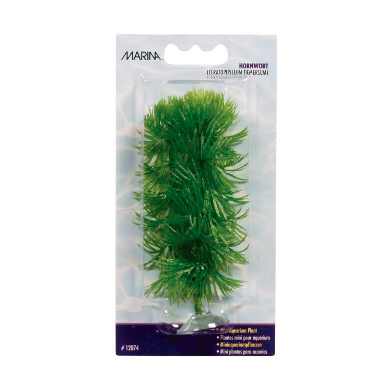 PLANTAS PARA PECERA