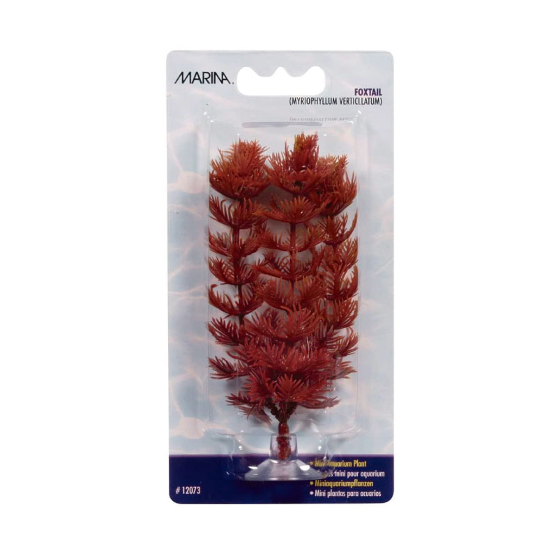 PLANTAS PARA PECERA