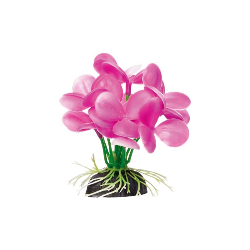 PLANTA BETTA PARA PECERA