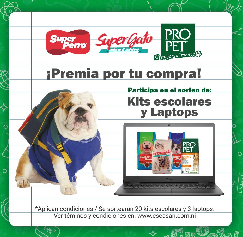 Prueba de Titulo d e Noticia