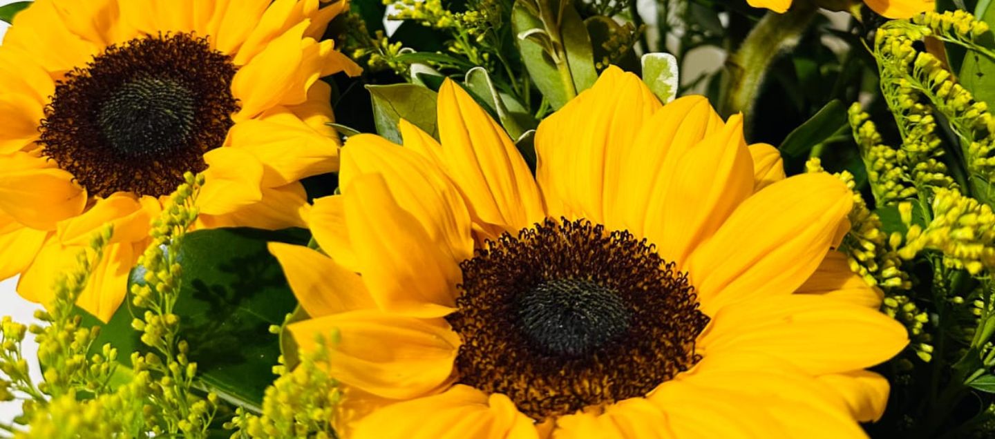 Flores y Diseños