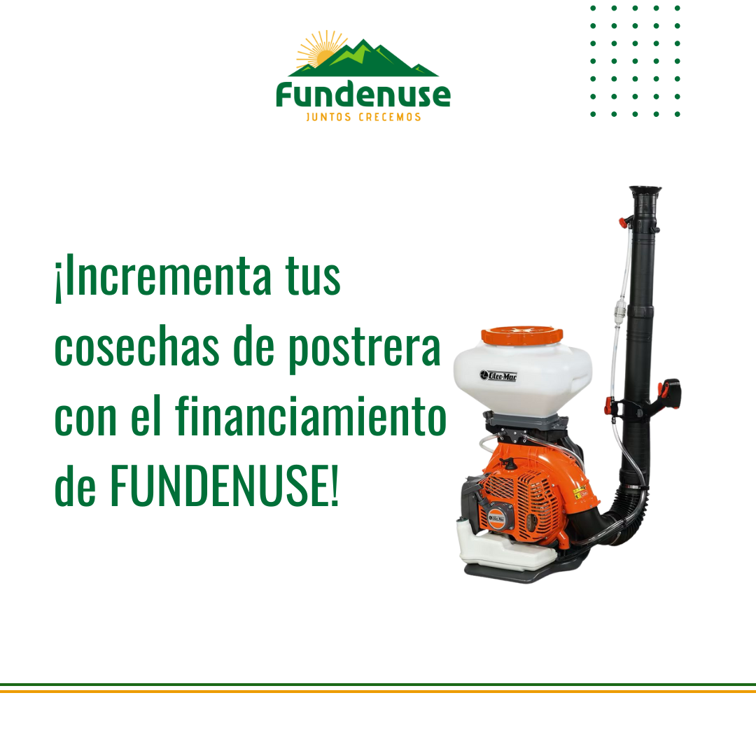 Reglamento de la Promoción de Postrera 2025-2026 