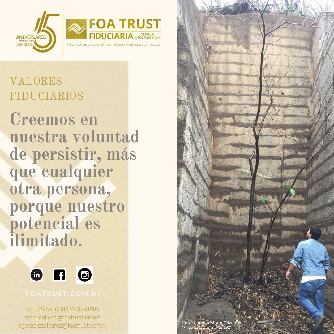 Valores fiduciarios