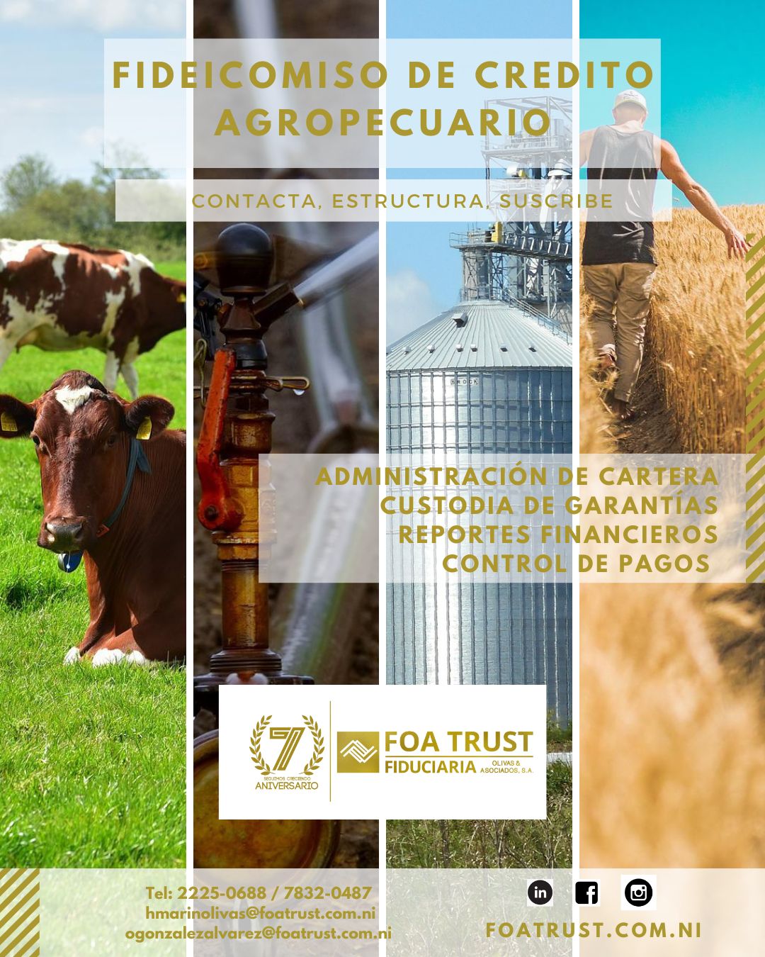 Fideicomiso Agropecuario