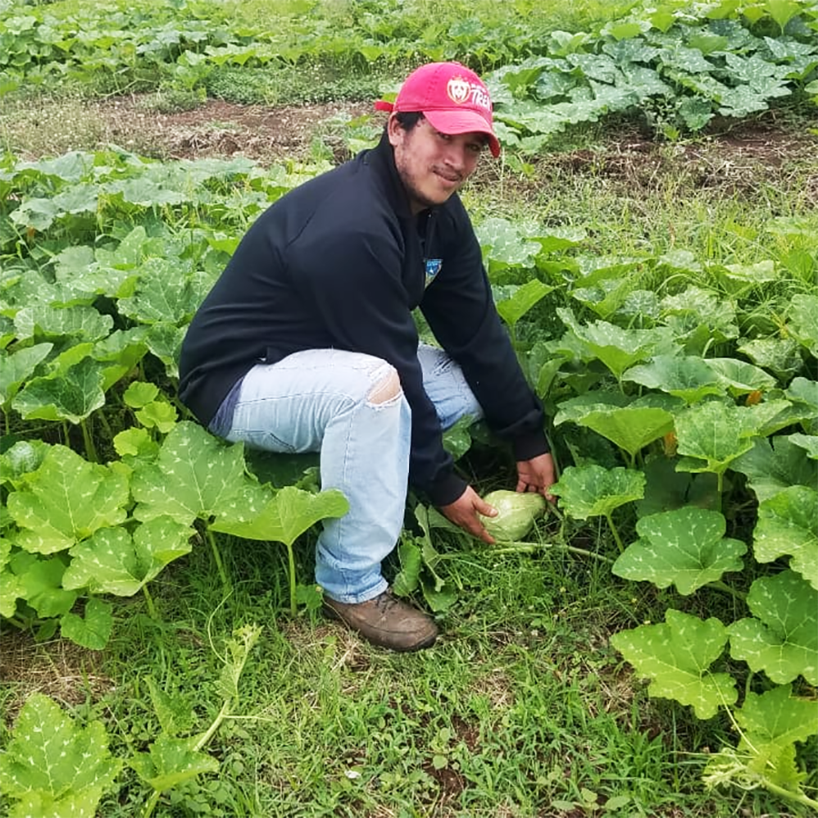 Microcrédito Agropecuario