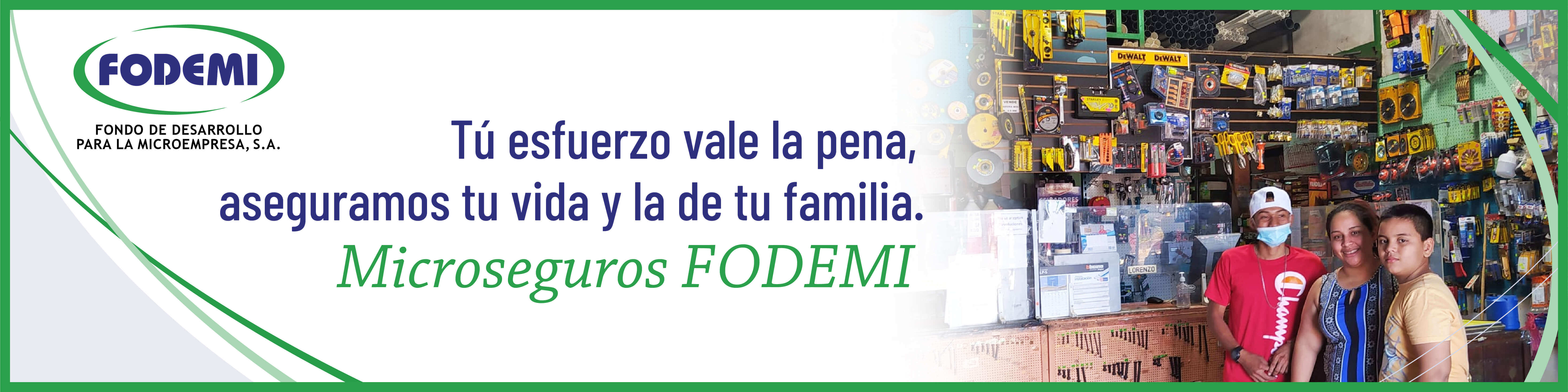 FODEMI