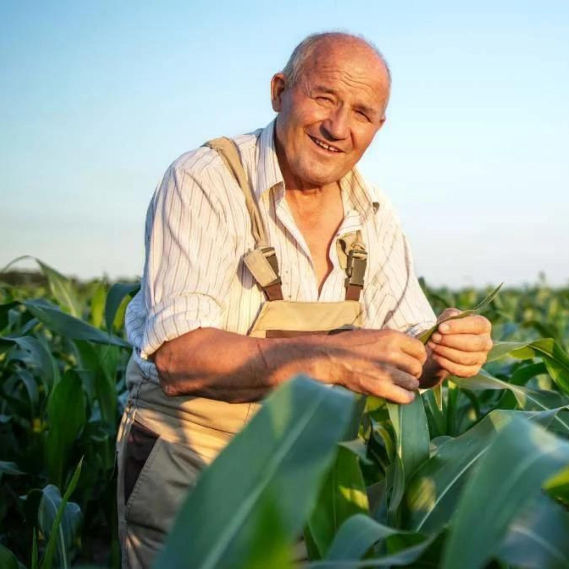 Microcrédito Agropecuario