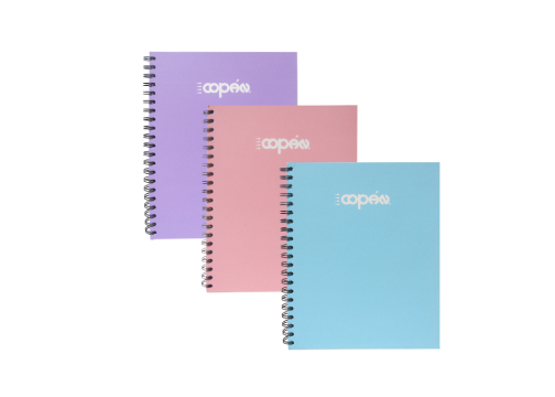 CUAD UNIV D/O 100H RAYA COLORES PASTELES