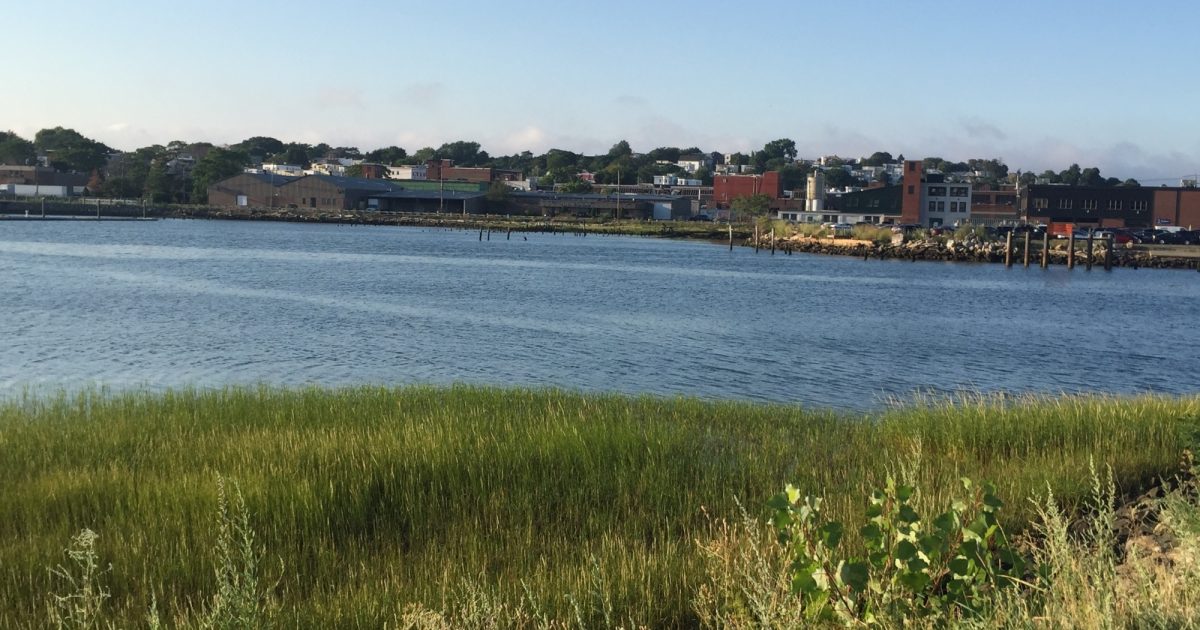 On the Grid Condor Street Urban Wild