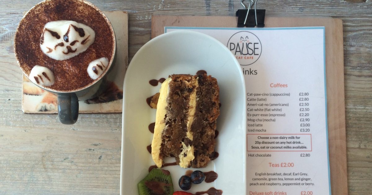 On the Grid Pause Cat  Cafe 