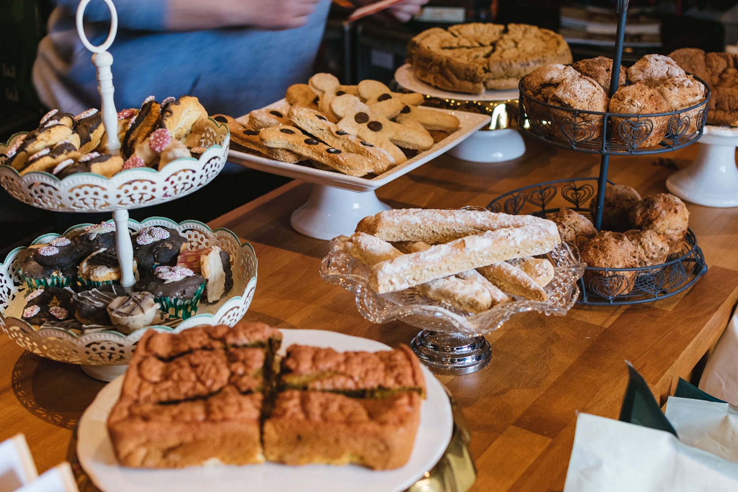 harry's pet shop portobello