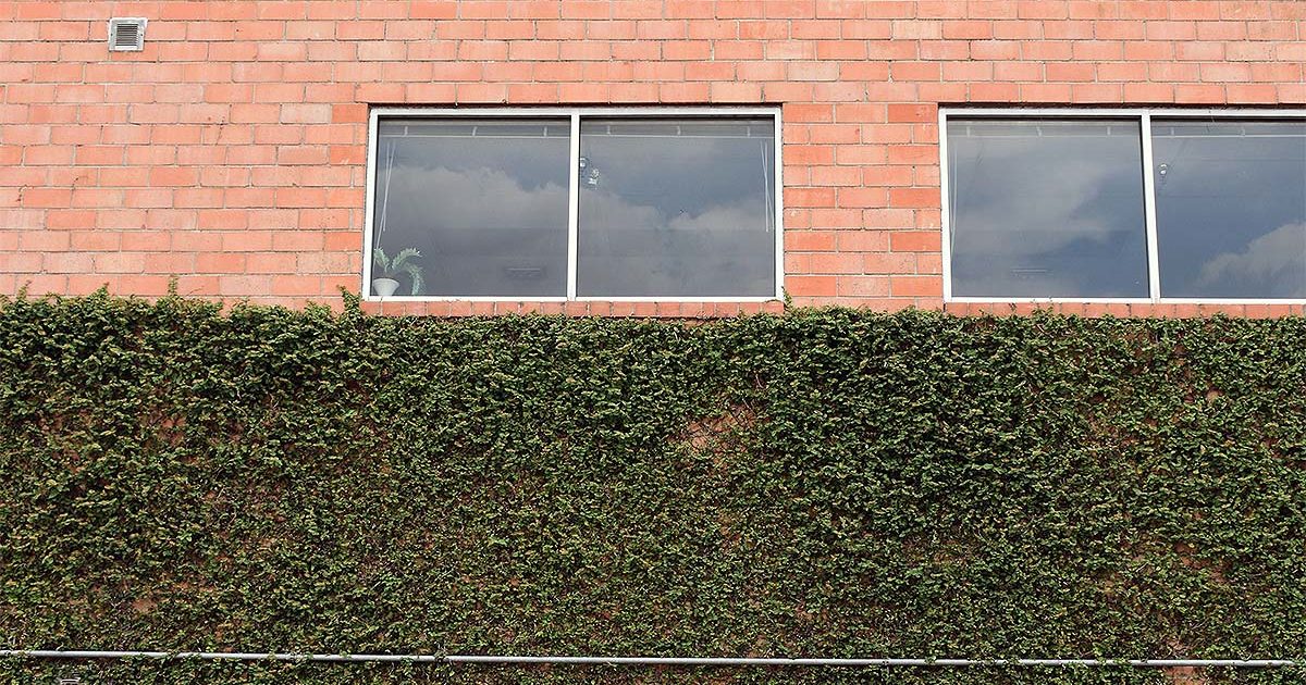 On the Grid Texas Art Supply