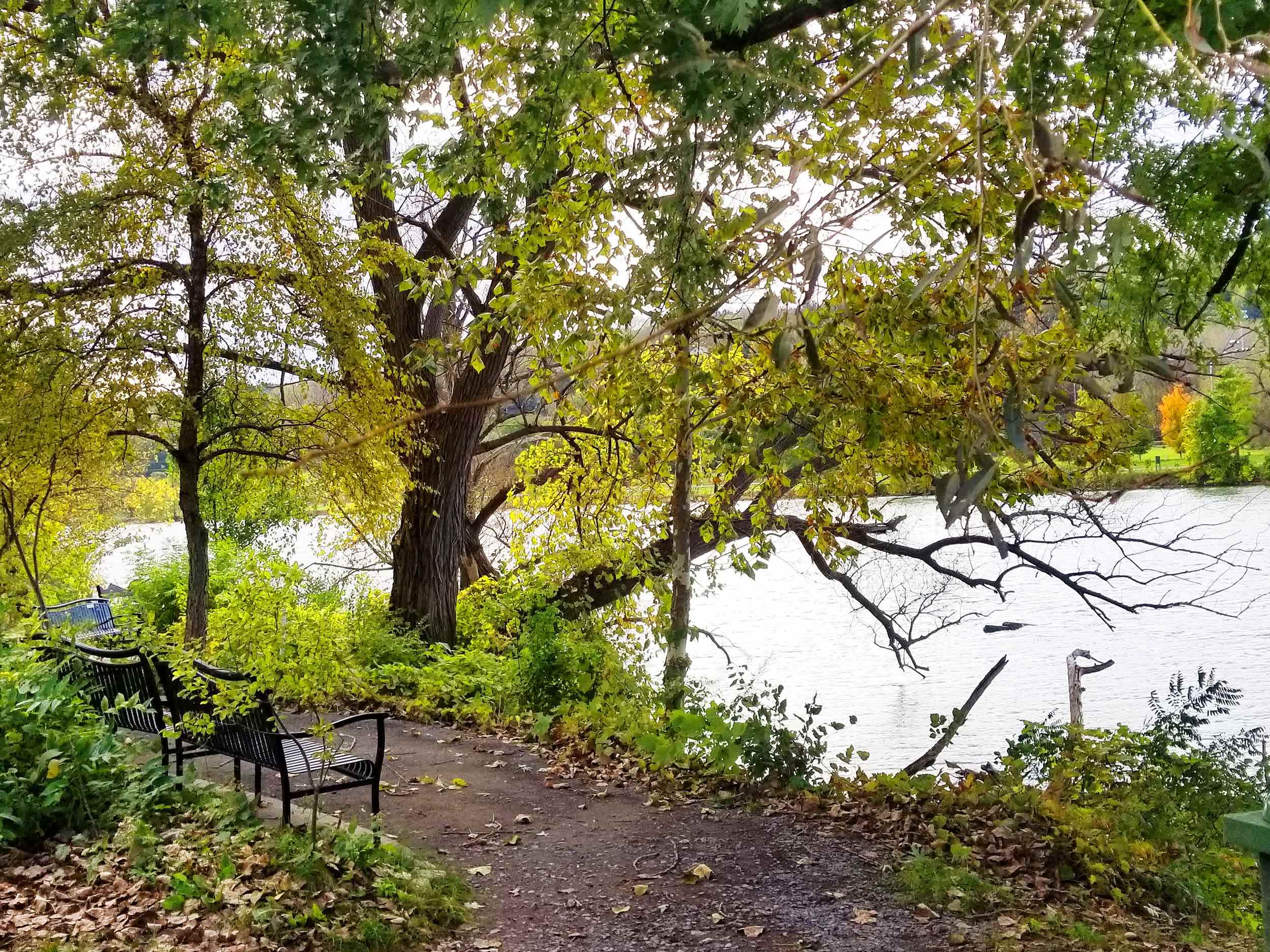 On The Grid Cayuga Waterfront Trail