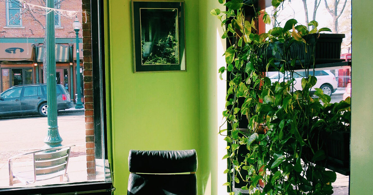 On the Grid Tea Drops