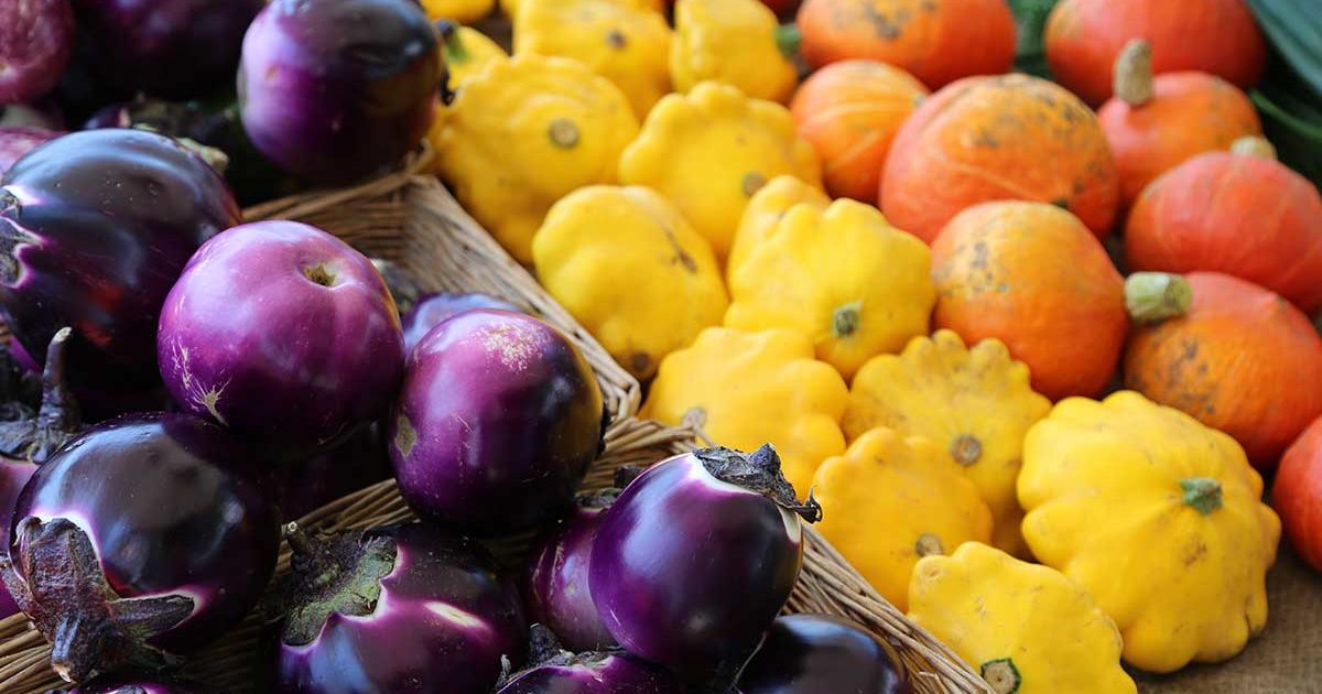 On the Grid Parliament Hill Farmers' Market