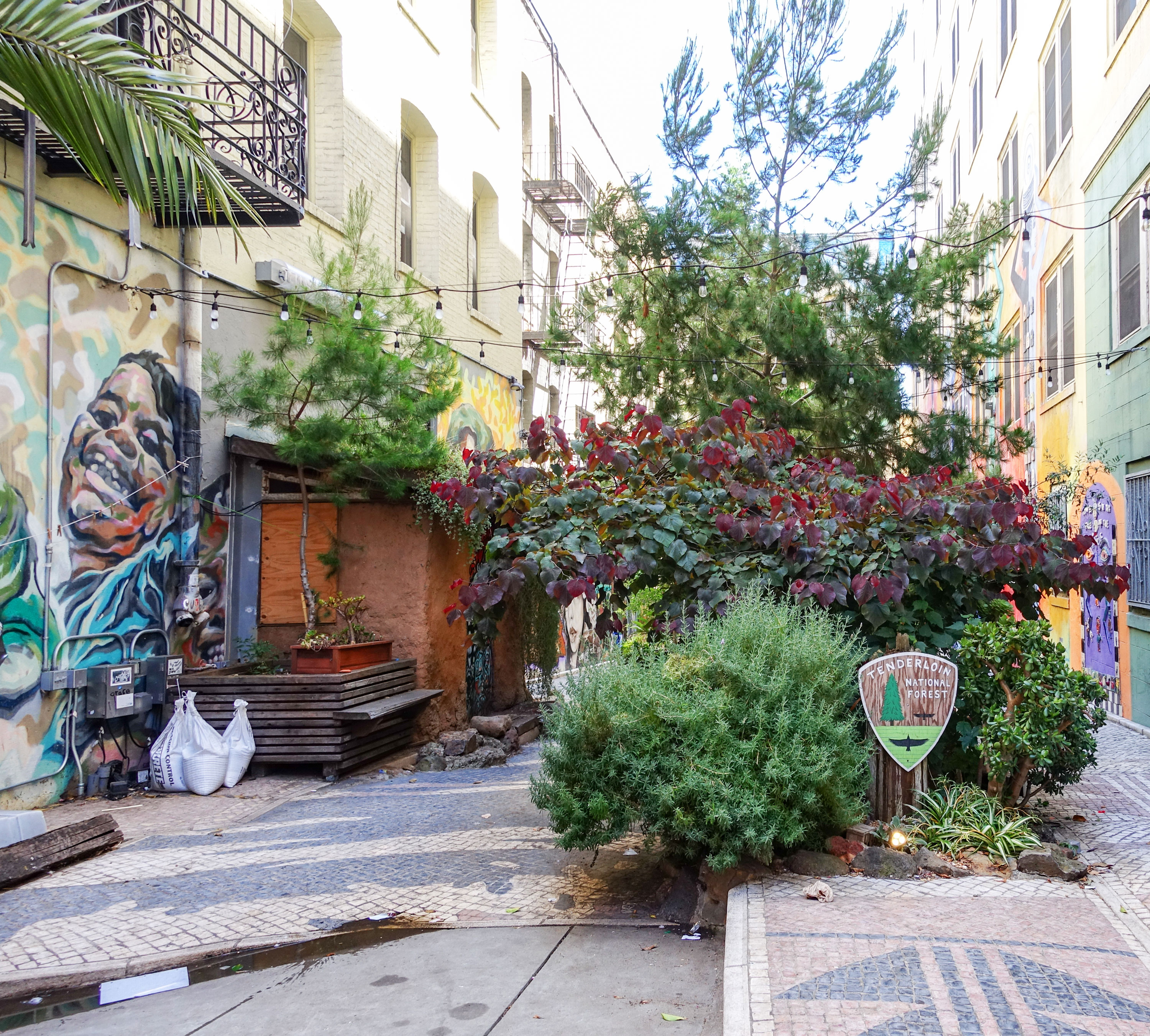 On the Grid : Tenderloin National Forest